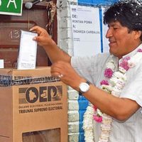 Un estudio del MIT desmiente a la OEA: "No hubo fraude electoral en Bolivia"