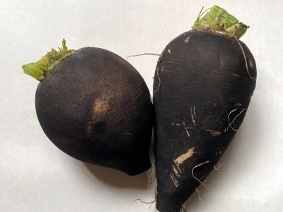 Desarrollan tratamiento contra cálculos biliares con base en el rábano negro