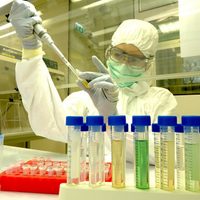 ¡Alerta mundial! Descubren una segunda cepa del coronavirus que es más agresiva