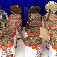 Narco oculta mariguana en latas de chilorio y metanfetamina en botellas de shampoo
