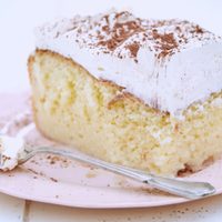 Torta 3 leches versión económica: con pocos ingredientes disfrutá de este clásico internacional