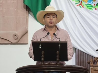 Piden suspender fallo de CFE para compra de carbón; beneficia a empresas fantasma: diputado del PT