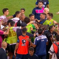 Quién es la Roca: el histórico seguridad de River que recibió una agresión directa ante Independiente