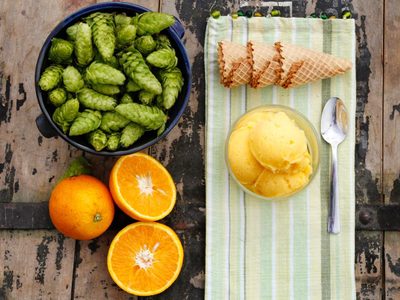Para degustadores de cerveza: helado de lúpulo y naranja