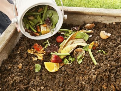 Reviví tus plantas y protegelas del invierno con este simple abono casero de triple acción