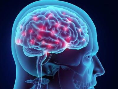 ¿Qué son y cómo funcionan las redes neuronales?