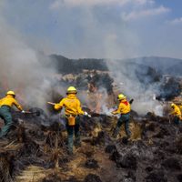 ¡Urgente! Incendios en México arrasan con casas y bosques