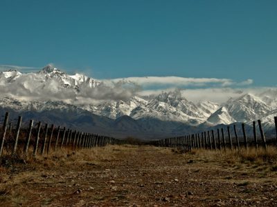 Vinos de Los Chacayes: el sello de un terroir con personalidad
