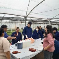 Alumnos de la EPET N° 5 de Neuquén realizan prácticas profesionalizantes en El Puesto de Plottier