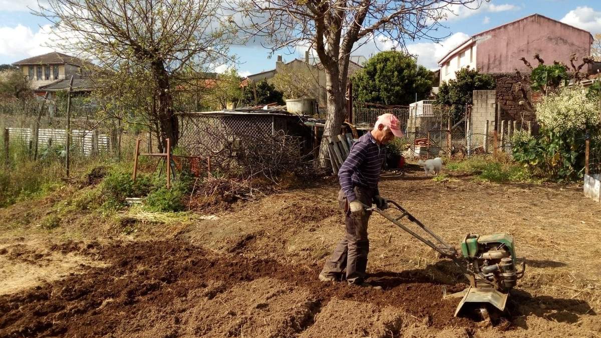 Alertan por interés en invertir en proyectos rurales: Fuente: (Twitter)