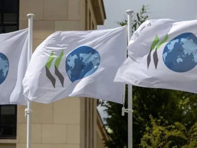Pronóstico de la OCDE: pobre crecimiento e inflación