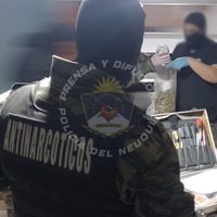 Allanamiento en Centenario: millonario secuestro de marihuana