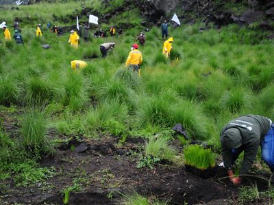 Educación sobre el cambio climático: una brecha entre la ciencia y las aulas